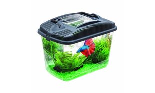 Akvaarium Betta Kit цена и информация | Аквариумы и оборудование | hansapost.ee