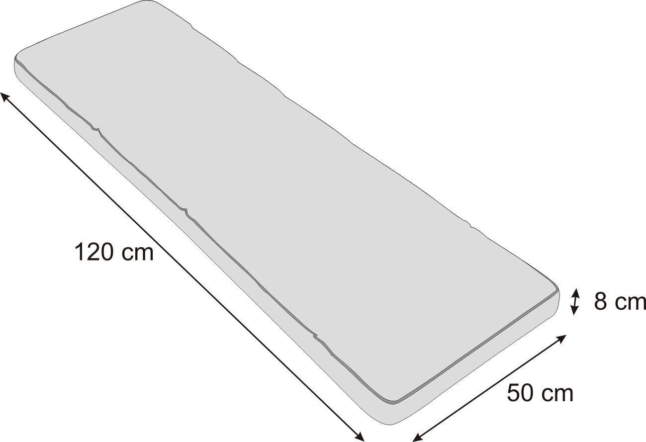 Padi pingile Etna Ekolen 120x50 cm, sinine hind ja info | Toolipadjad ja toolikatted | hansapost.ee