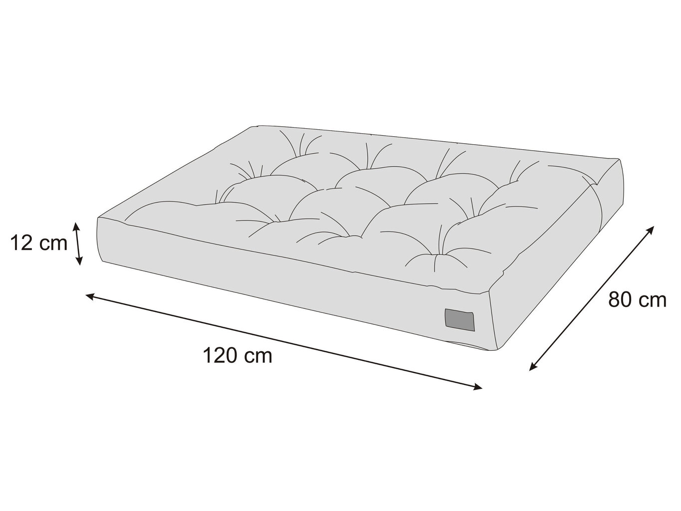 Istumisosa padi euroalusele Hobbygarden Leo 120x80cm, beež цена и информация | Toolipadjad ja toolikatted | hansapost.ee