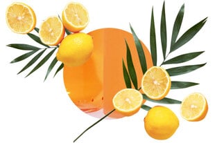 Pihustatav kodulõhnastaja "Mediterranean Citrus", 20 ml hind ja info | Lõhnapulgad ja kodulõhnastajad | hansapost.ee