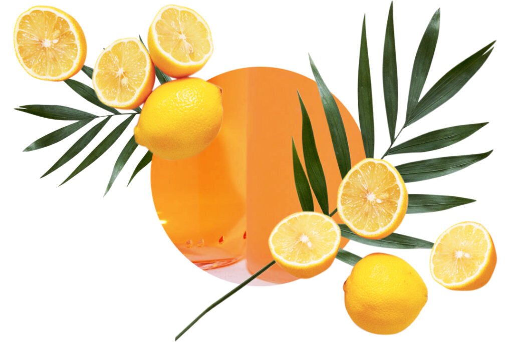 Kodulõhnastaja komplekt Mediteranean Citrus Marseille seebiga Carbaline 100 ml цена и информация | Lõhnapulgad ja kodulõhnastajad | hansapost.ee