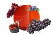 Kodu lõhnastaja Red Wine komplekt Marseille seebiga 250ml hind ja info | Lõhnapulgad ja kodulõhnastajad | hansapost.ee