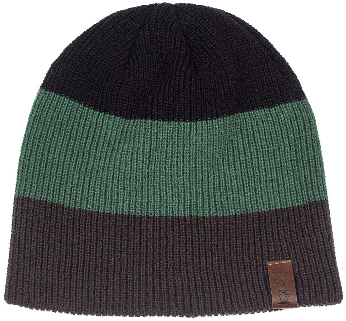 Poiste müts Starling Wolf, green/black/grey цена и информация | Talveriided lastele | hansapost.ee