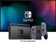 Mängukonsool Nintendo Switch V2, 32GB, Hall (2019) hind ja info | Mängukonsoolid | hansapost.ee