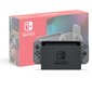 Mängukonsool Nintendo Switch V2, 32GB, Hall (2019) hind ja info | Mängukonsoolid | hansapost.ee