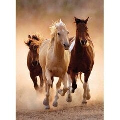 Pusle Clementoni High Quality Running Horses, 1000-osaline hind ja info | Pusled lastele ja täiskasvanutele | hansapost.ee