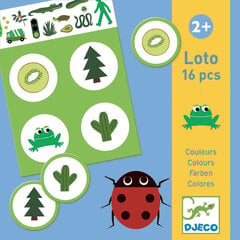 Loto - Värvid (16 tk.), Djeco DJ08128 hind ja info | Lauamängud ja mõistatused perele | hansapost.ee