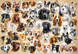 Pusle Castorland Puzzle Collage with Dogs, 1500-osaline цена и информация | Pusled lastele ja täiskasvanutele | hansapost.ee