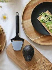 Нож для сыра цена и информация | Pole täpsustatud Кухонные товары, товары для домашнего хозяйства | hansapost.ee