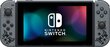 Mängukonsool Nintendo Switch - Monster Hunter Rise Edition hind ja info | Mängukonsoolid | hansapost.ee