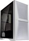 Raijintek 0R20B00206 hind ja info | Arvutikorpused | hansapost.ee