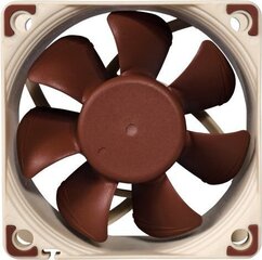 Noctua NF-A6x25 FLX цена и информация | Компьютерные вентиляторы | hansapost.ee