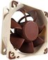 Noctua NF-A6x25 FLX цена и информация | Arvuti ventilaatorid | hansapost.ee