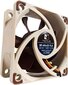 Noctua NF-A6x25 FLX цена и информация | Arvuti ventilaatorid | hansapost.ee