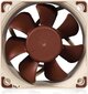 Noctua NF-A6x25-PWM hind ja info | Arvuti ventilaatorid | hansapost.ee