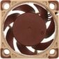 Noctua NF-A4x20 5V цена и информация | Arvuti ventilaatorid | hansapost.ee