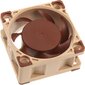 Noctua NF-A4x20 5V цена и информация | Arvuti ventilaatorid | hansapost.ee