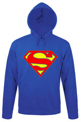 Свитер "Superman" цена и информация | Оригинальные свитеры | hansapost.ee