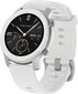 Amazfit GTR, 42mm A191042MOONLIGHTWHITE цена и информация | Nutikellad, laste nutikellad | hansapost.ee