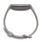 Fitbit Versa 2 Stone/Mist Grey hind ja info | Nutikellad, laste nutikellad | hansapost.ee