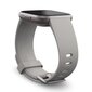 Fitbit Versa 2 Stone/Mist Grey цена и информация | Nutikellad, laste nutikellad | hansapost.ee