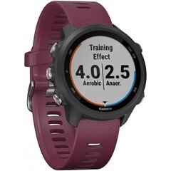 Garmin Forerunner 245 Merlot цена и информация | Смарт-часы (smartwatch) | hansapost.ee