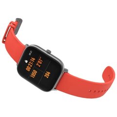 Amazfit GTS Vermillion Orange цена и информация | Смарт-часы | hansapost.ee