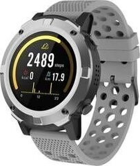 Denver SW-660 Gray цена и информация | Смарт-часы (smartwatch) | hansapost.ee