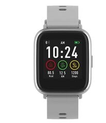 Denver SW-161,Grey цена и информация | Смарт-часы (smartwatch) | hansapost.ee