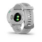 Garmin Forerunner® 55 White цена и информация | Nutikellad, laste nutikellad | hansapost.ee