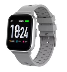 Denver SW-162, серый цена и информация | Смарт-часы (smartwatch) | hansapost.ee