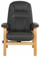 Кресло из искусственной кожи с подставкой для ног Notio Living Alsace, темно-серое цена и информация | Уличные кресла | hansapost.ee