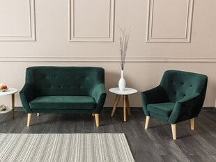 Tugitool Nordic 1 Velvet 1, roheline цена и информация | Кресла для отдыха | hansapost.ee