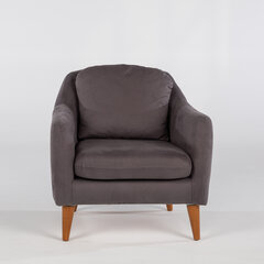Кресло Artie Soli, темно-серое цена и информация | Кресла для отдыха | hansapost.ee