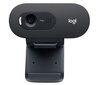 Logitech HD Webcam C505e Black цена и информация | Veebikaamera | hansapost.ee
