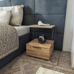 Ночной шкаф Kalune Design Tekoba, коричневый цена и информация | Ночные шкафы | hansapost.ee