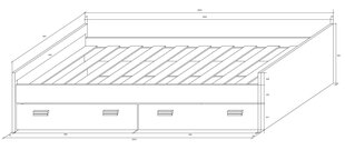 Voodi Kitty 05, tamm/valge price and information | Children's beds | hansapost.ee