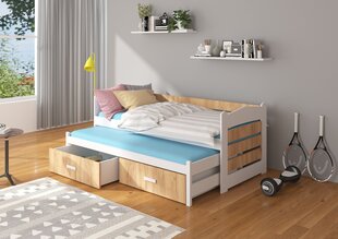 Voodi ADRK Furniture Tiarro 80x180 cm, pruun/valge цена и информация | Детские кровати | hansapost.ee