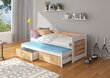 Voodi ADRK Furniture Tiarro 80x180 cm, pruun/valge цена и информация | Lastevoodid | hansapost.ee