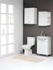 Нижний шкафчик для ванной комнаты с раковиной Elza EA50-3, белый цена и информация | Шкафчики для ванной | hansapost.ee