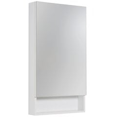 Шкаф для ванной комнаты с зеркалом Defra E50, белый цена и информация | Шкафчики для ванной | hansapost.ee