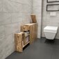 Eraldiseisev vannitoakapp Kalune Design 854, helepruun hind ja info | Vannitoakapid | hansapost.ee
