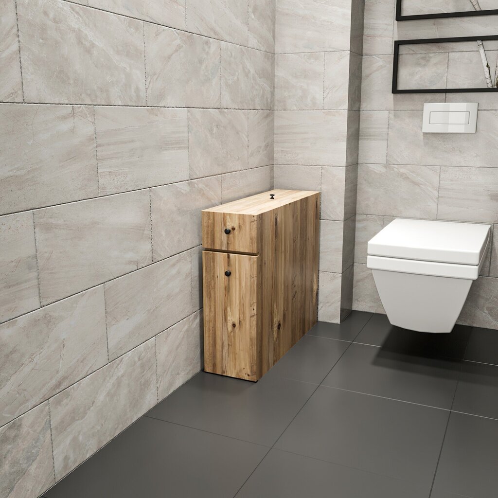 Eraldiseisev vannitoakapp Kalune Design 854, helepruun цена и информация | Vannitoakapid | hansapost.ee