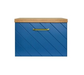 Шкафчик для ванной Besco Floo 80 с Oak столешницей, синий/золотой цена и информация | Besco Мебель и домашний интерьер | hansapost.ee