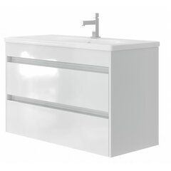 Шкафчик для ванной комнаты с раковиной Luton LT-100, белый цена и информация | Шкафчики для ванной | hansapost.ee