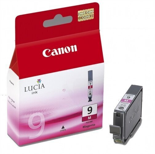 Canon 1036B001 цена и информация | Tindiprinteri kassetid | hansapost.ee