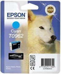 EPSON Tinte Cyan 11,4 ml hind ja info | Tindiprinteri kassetid | hansapost.ee