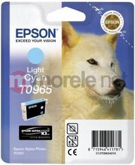 EPSON Tinte Light Cyan 11,4 ml hind ja info | Tindiprinteri kassetid | hansapost.ee
