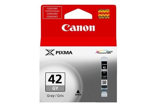 CANON CLI-42 GY tint hall цена и информация | Tindiprinteri kassetid | hansapost.ee