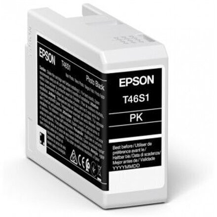 Epson UltraChrome Pro 10 ink T46S1 Ink c hind ja info | Tindiprinteri kassetid | hansapost.ee